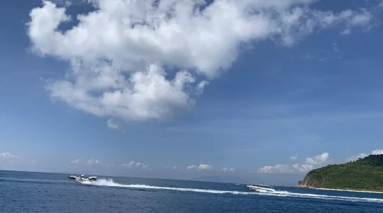ダイビング